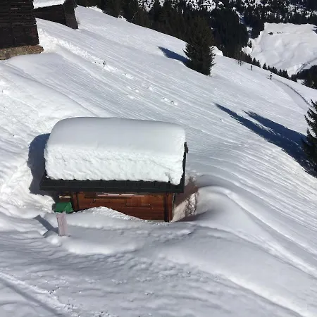 Casa Cuschina - Mit Sauna In Der Schoenen Surselva *