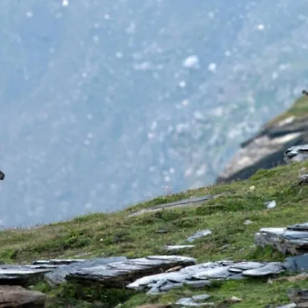 Casa Cuschina - Mit Sauna In Der Schoenen Surselva * Dardin